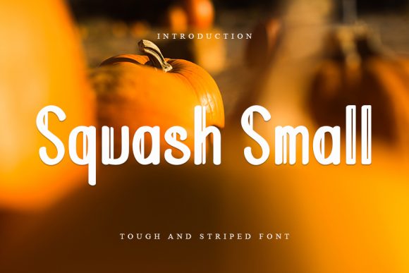 Squash Small: A Display Font That Demands Attention